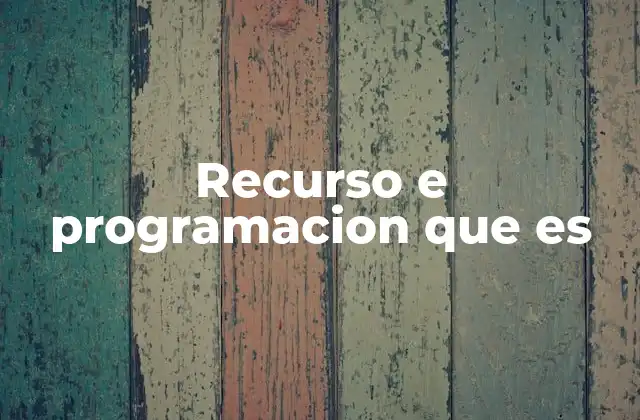 Recurso e Programacion que es