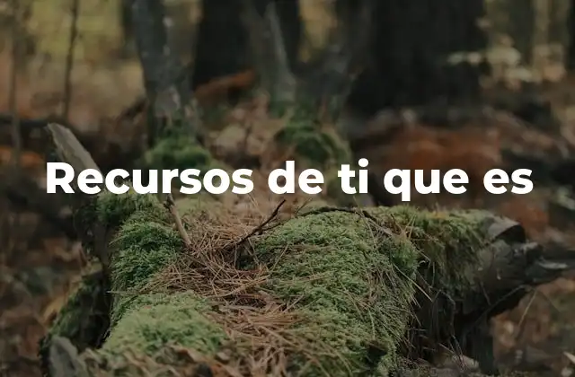 Cómo identificar los recursos personales sin mencionarlos directamente