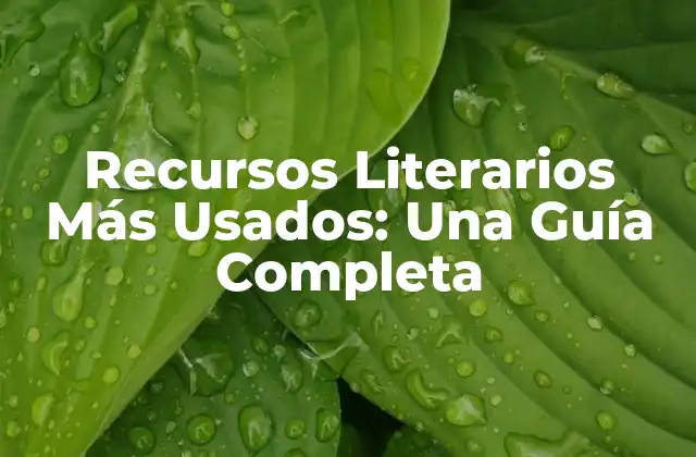Recursos Literarios Más Usados: una Guía Completa