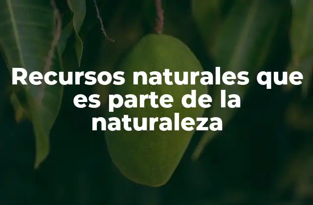 Recursos Naturales que es Parte de la Naturaleza