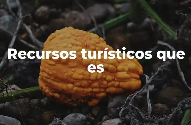 Recursos Turísticos que es