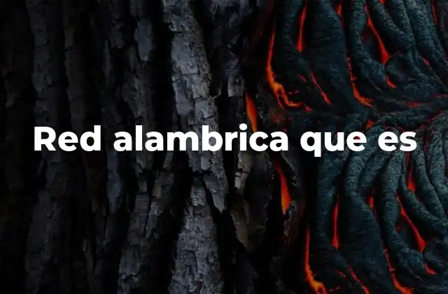 Red Alambrica que es