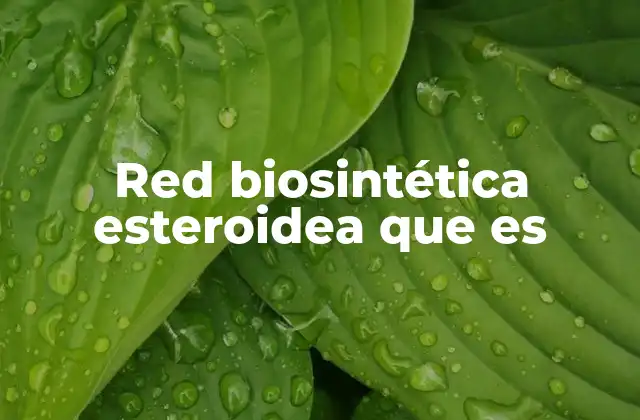 Red Biosintética Esteroidea que es