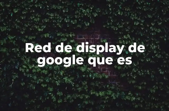 Red de Display de Google que es
