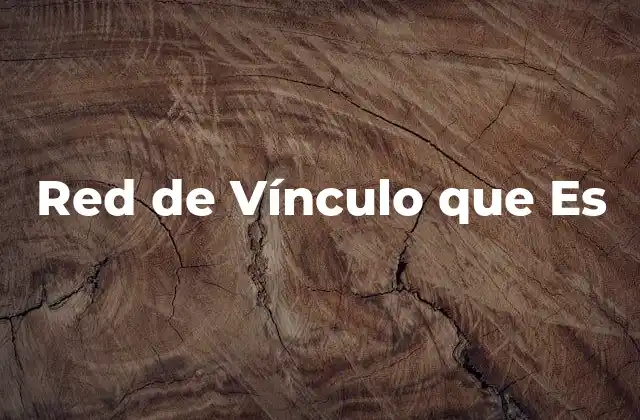 Red de Vínculo que es