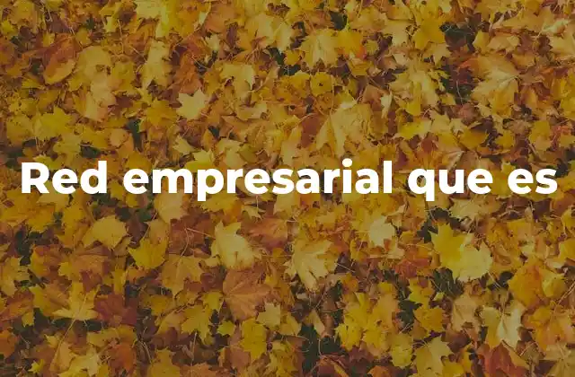 Red Empresarial que es