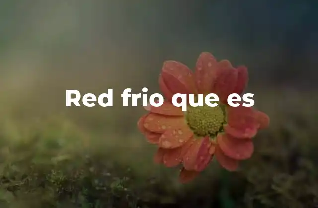 Red Frio que es