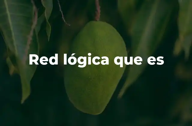 Red Lógica que es 2 La importancia de las redes lógicas en la arquitectura informática