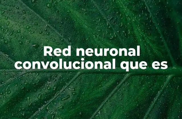 Red Neuronal Convolucional que es 2 La base matemática detrás de las redes convolucionales