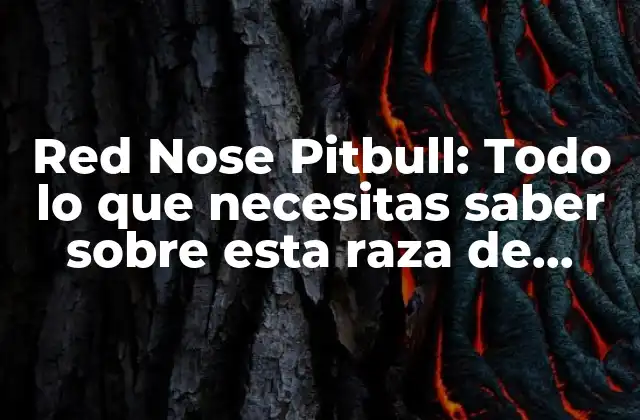 Red Nose Pitbull: Todo Lo que Necesitas Saber sobre Esta Raza de Perro