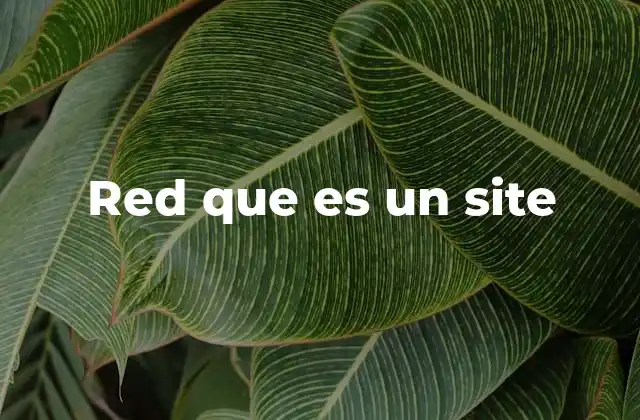 Red que es un Site