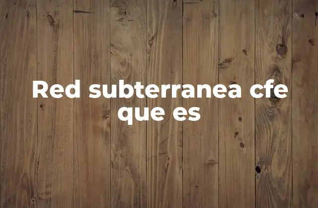 Red Subterranea Cfe que es
