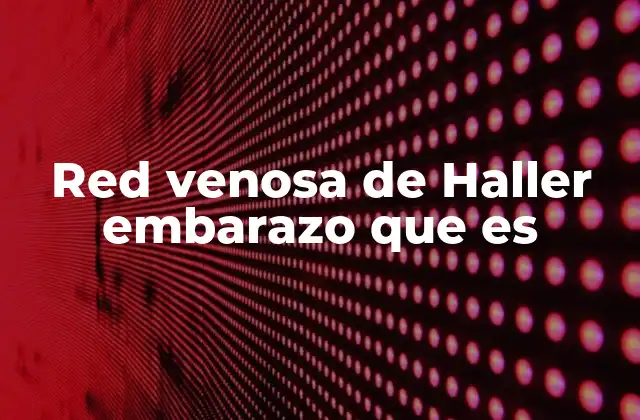 Red Venosa de Haller Embarazo que es 2 El impacto de la circulación porta durante la gestación