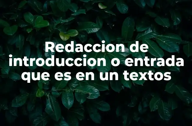 Redaccion de Introduccion o Entrada que es en un Textos