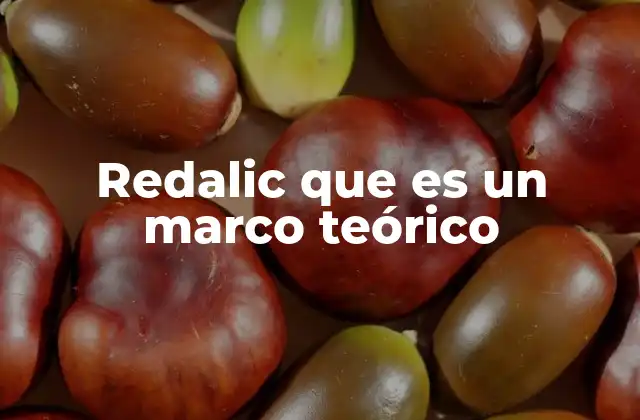 Redalic que es un Marco Teórico