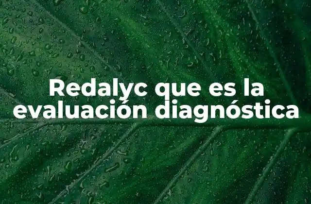 Redalyc que es la Evaluación Diagnóstica