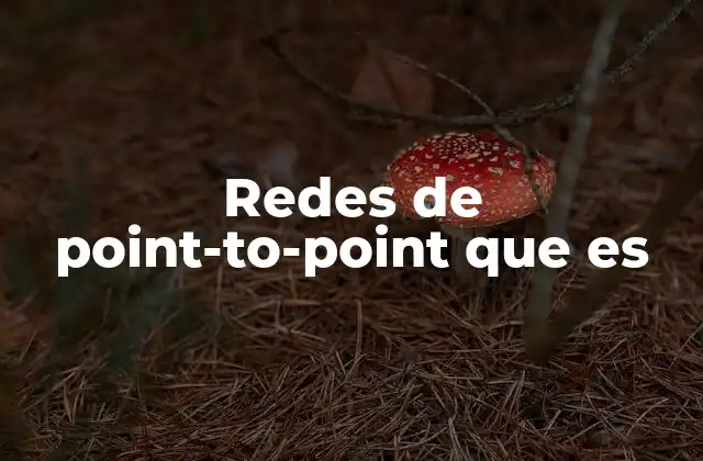 Redes de Point-to-point que es
