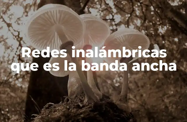 Cómo funcionan las redes inalámbricas con banda ancha