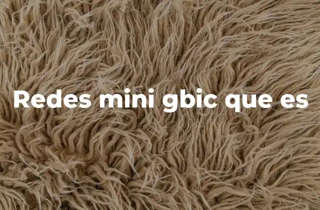 Redes Mini Gbic que es