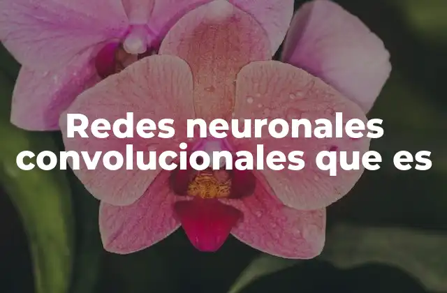 Redes Neuronales Convolucionales que es
