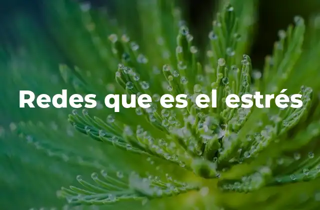 Redes que es el Estrés