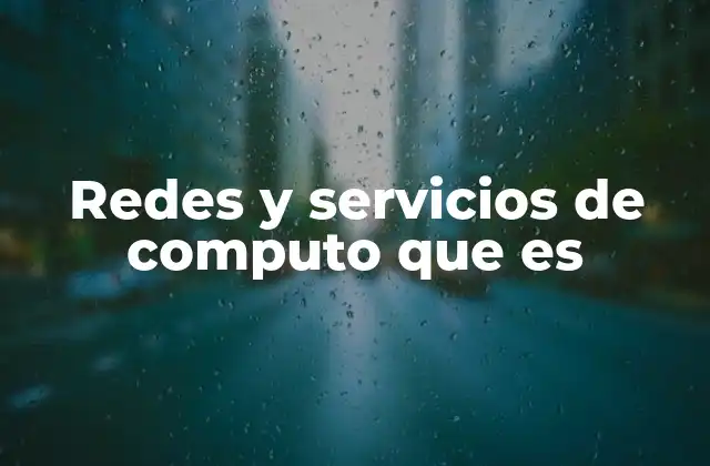 Redes y Servicios de Computo que es