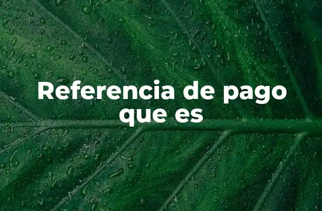 Referencia de Pago que es