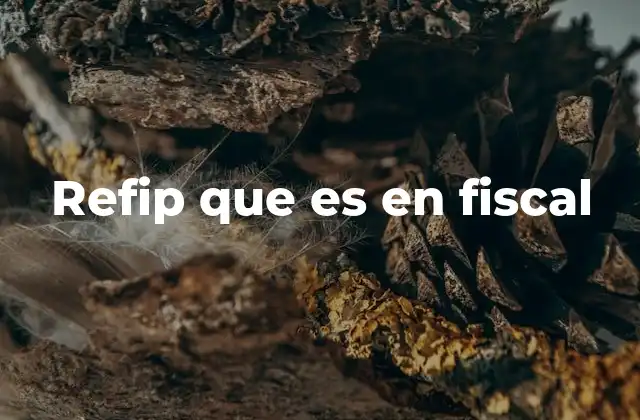 Refip que es en Fiscal