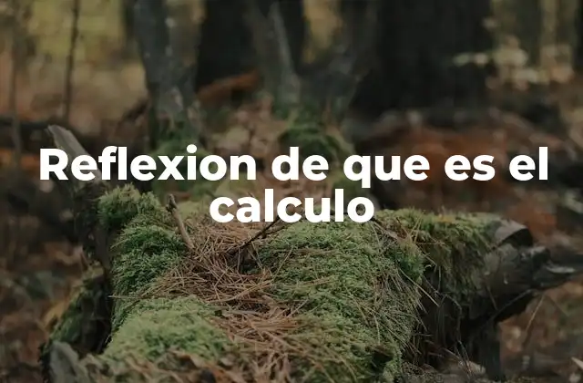 Reflexion de que es el Calculo