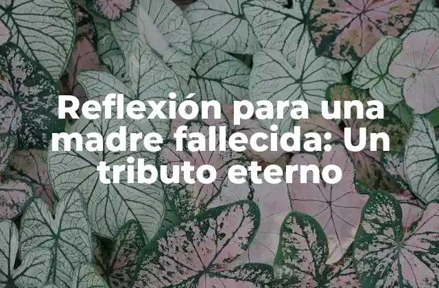 Reflexión para una Madre Fallecida: un Tributo Eterno