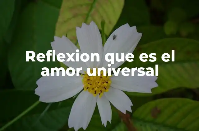 Reflexion que es el Amor Universal