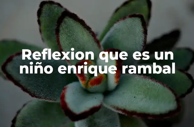 Reflexion que es un Niño Enrique Rambal