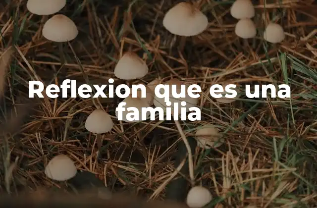Reflexion que es una Familia
