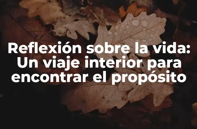 Reflexión sobre la Vida: un Viaje Interior para Encontrar el Propósito