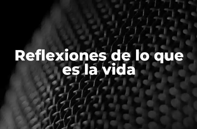 Reflexiones de Lo que es la Vida