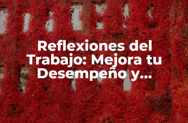 Reflexiones Del Trabajo: Mejora Tu Desempeño y Bienestar Laboral
