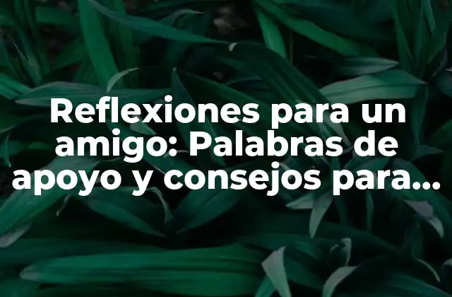 Reflexiones para un Amigo: Palabras de Apoyo y Consejos para Momentos Difíciles