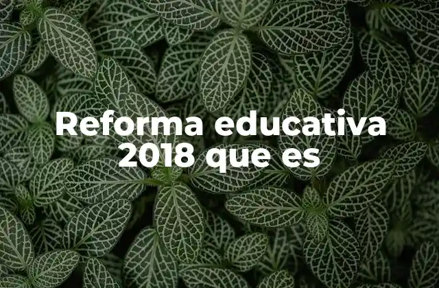Reforma Educativa 2018 que es