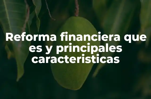 Reforma Financiera que es y Principales Caracteristicas