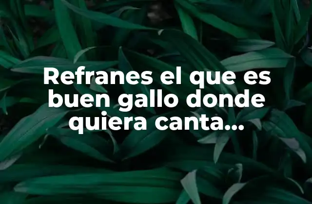 Refranes el que es Buen Gallo Donde Quiera Canta Significado
