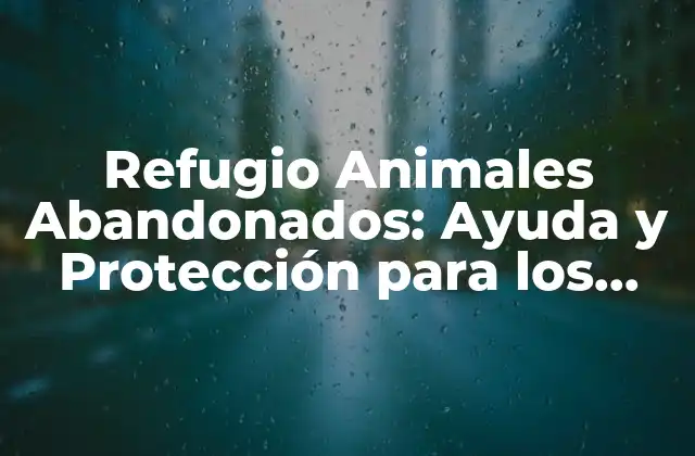 Refugio Animales Abandonados: Ayuda y Protección para los Más Desprotegidos