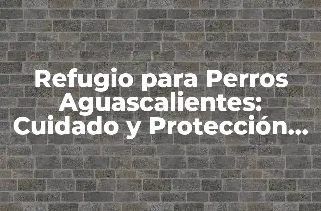 Refugio para Perros Aguascalientes: Cuidado y Protección para Nuestros Amigos Caninos
