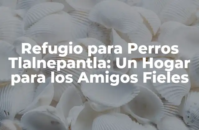 Refugio para Perros Tlalnepantla: un Hogar para los Amigos Fieles