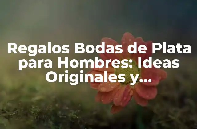 Regalos Bodas de Plata para Hombres: Ideas Originales y Sorprendentes