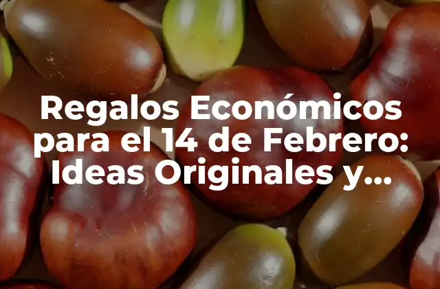Regalos Económicos para el 14 de Febrero: Ideas Originales y Asequibles