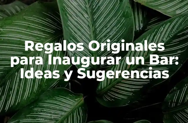 Regalos Originales para Inaugurar un Bar: Ideas y Sugerencias