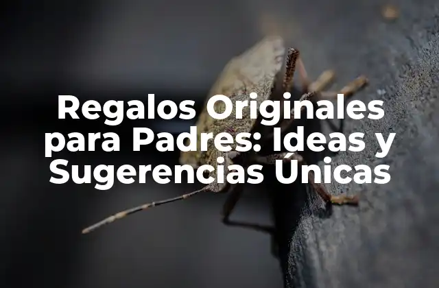 Regalos Originales para Padres: Ideas y Sugerencias Únicas