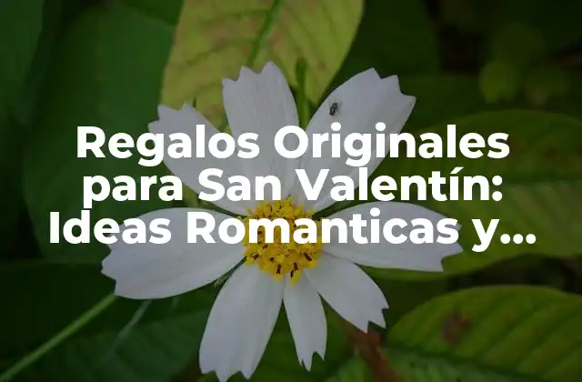 Regalos Originales para San Valentín: Ideas Romanticas y Únicas 2 Regalos Clásicos para San Valentín: Flores, Chocolates y Joyas