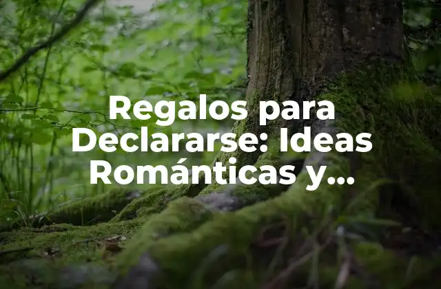Regalos para Declararse: Ideas Románticas y Originales 2 ¿Qué es un Regalo para Declararse?