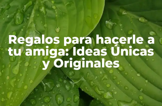 Regalos para Hacerle a Tu Amiga: Ideas Únicas y Originales